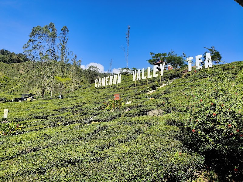 Cameron Valley Tea House 3