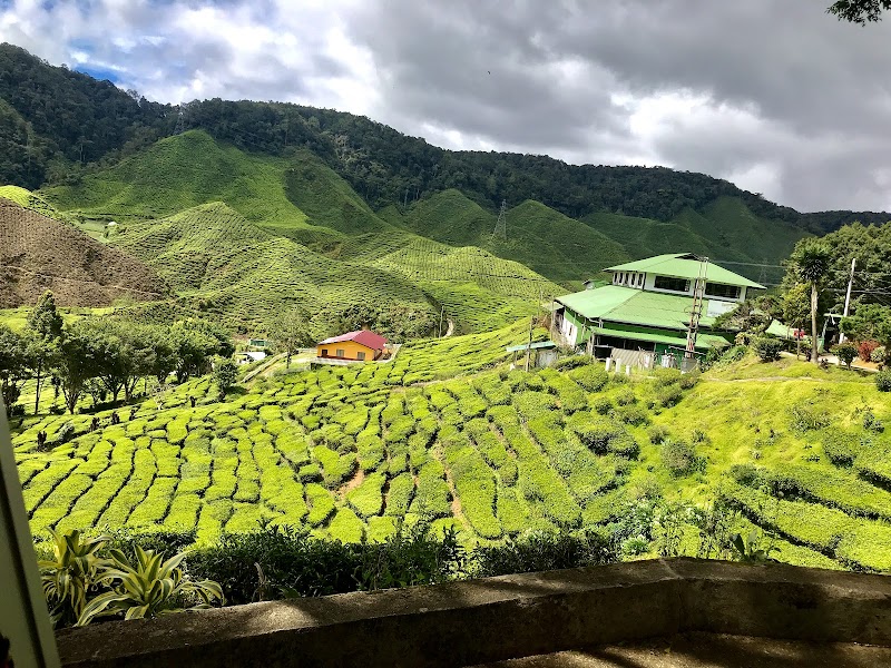 Cameron Bharat Plantation Sdn Bhd