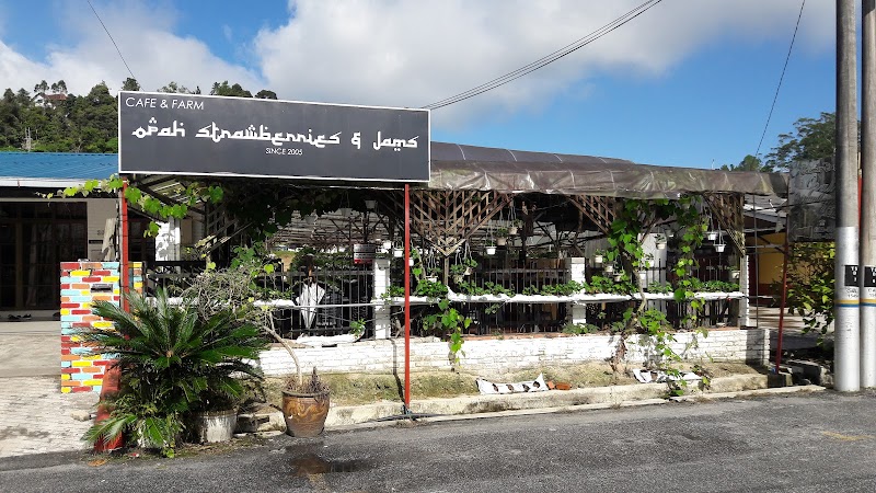 Opah Strawberries & Jams (Cameron Highlands)