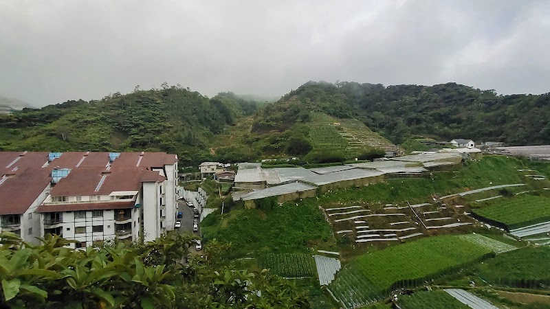 Natasya Resort Cameron Highlands