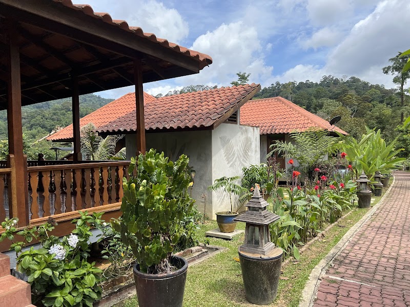 Fifty4Ferns Resort