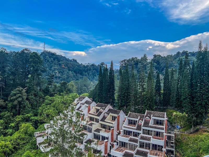 The Pines Resort